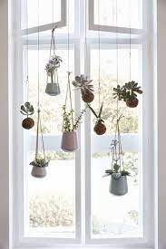 أصيص النباتات المتدلي من النافذة