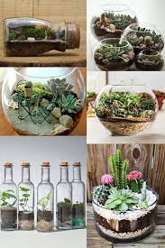 بعض الزجاجات المليئة بالنباتات