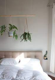 تزيين حائط غرفة النوم بالنباتات