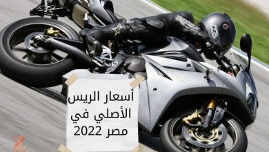 أسعار الريس الأصلي في مصر 2022